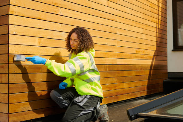 Best Siding Repair  in Houston, MS